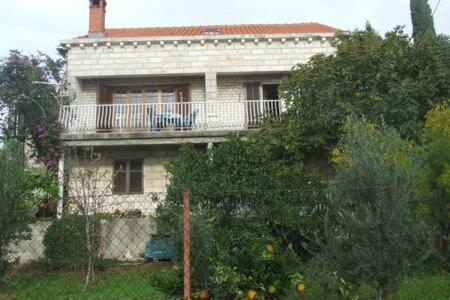 Honey Bee Cavtat Apartment Bagian luar foto