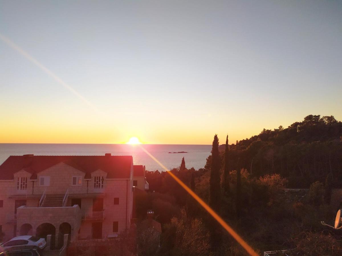Honey Bee Cavtat Apartment Bagian luar foto