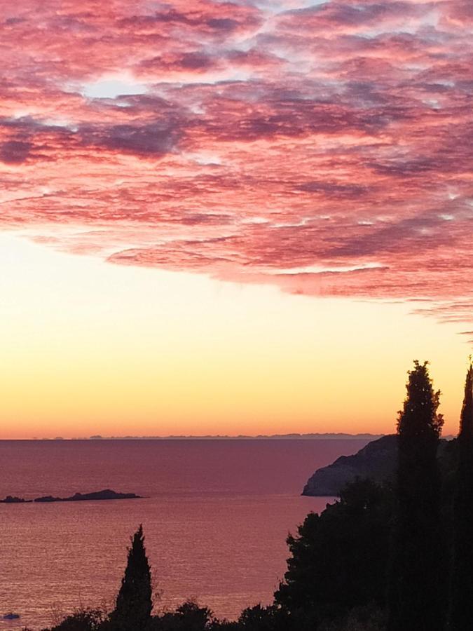 Honey Bee Cavtat Apartment Bagian luar foto