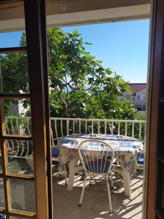 Honey Bee Cavtat Apartment Bagian luar foto